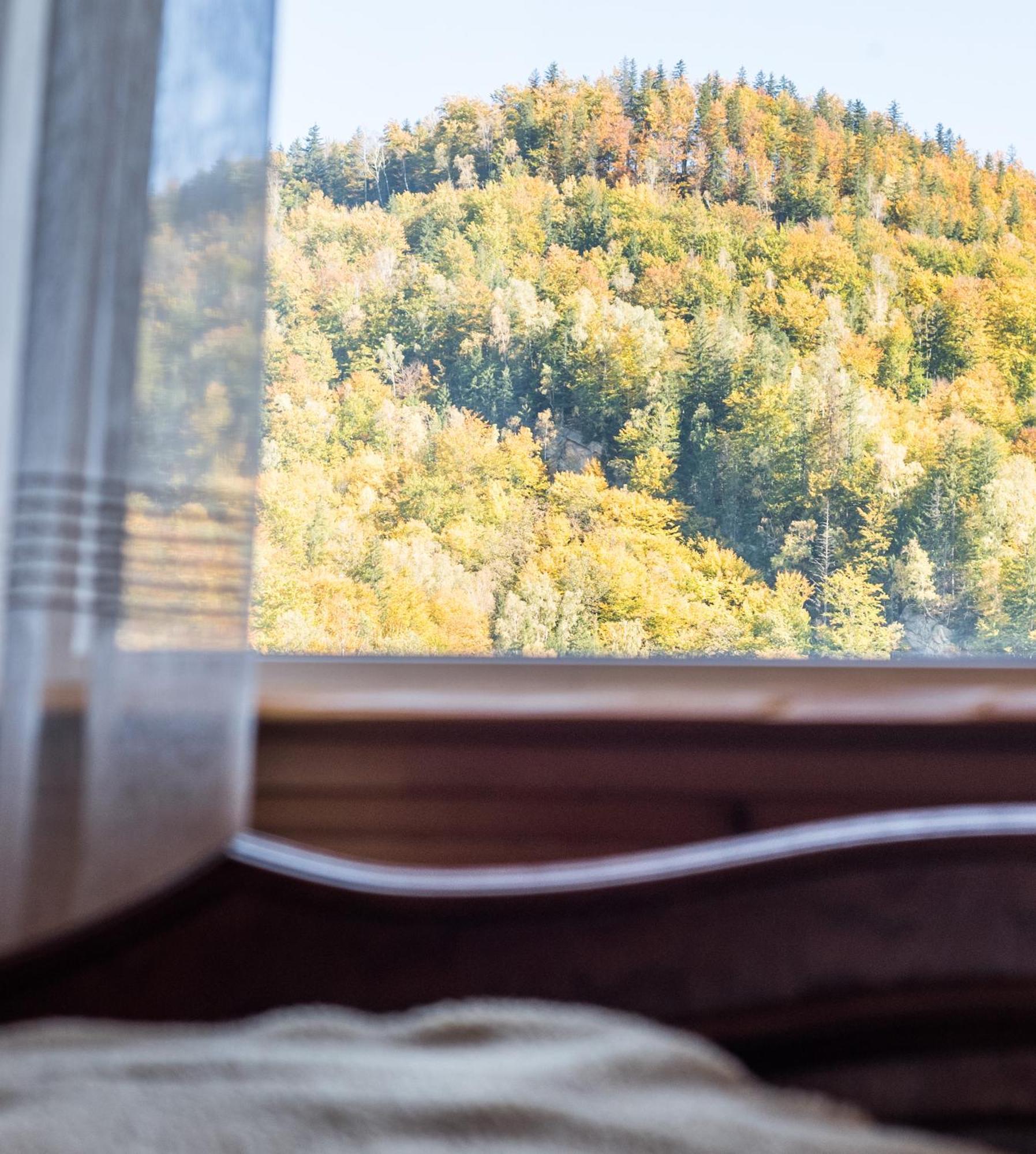 Хата Різьбяра Villa Byalobereska Cameră foto